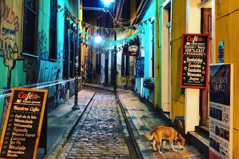 Valparaíso, Viña del Mar, Bodega, Leones Marinos y paseo en barcoValparaíso, Viña del Mar, Bodega, Leones Marinos y Paseo en Barco