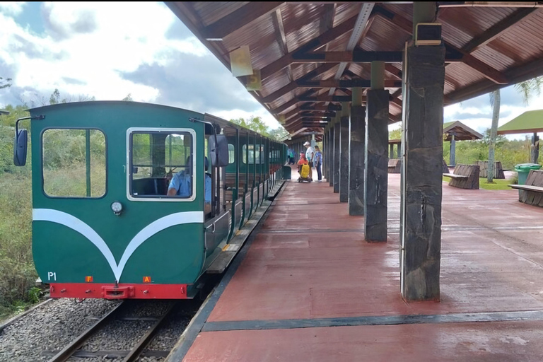 2-Day Private Iguassu Falls Tour: Brazil + Argentina Sides 2-Day Private Iguassu Falls Tour: Brazilian + Argentine Sides