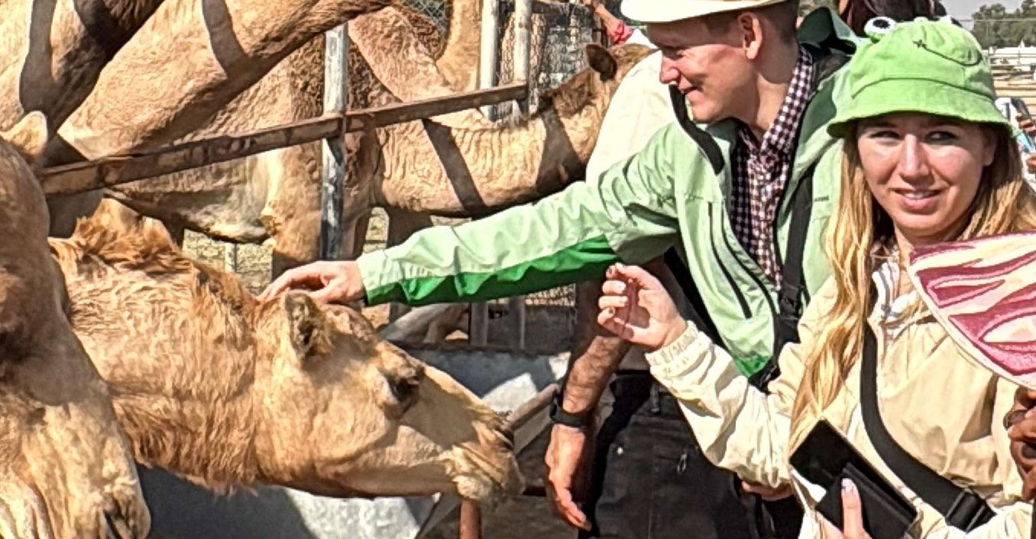 Bahrain Full-Day Highlights Tour:Manama,Desert&Tree of Life photo 4