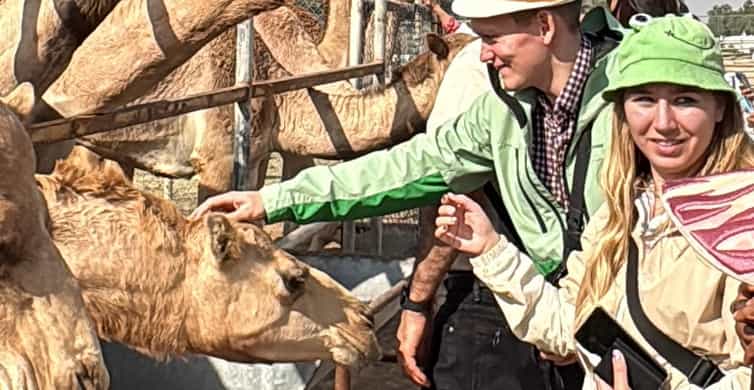 Bahrain Full-Day Highlights Tour:Manama,Desert&Tree of Life photo 4