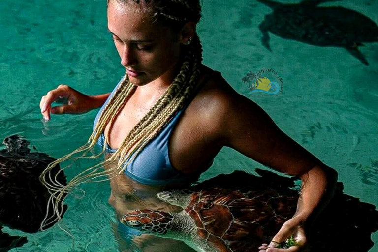 Zanzibar: Salaam Cave, Jozani Forest & The Rock Restaurant Self Transfer Experience