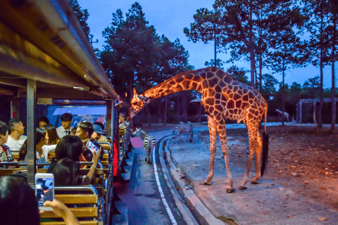 Chiang Mai: biglietto per il safari notturno con trasferimento dall&#039;hotel