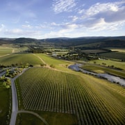 Melbourne: Yarra Valley Wine, Food, and Wildlife Tour