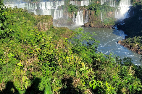 Iguassu Falls: Brazilian Side Private Tour