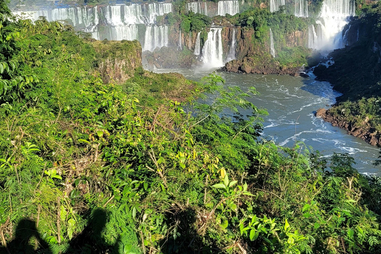 Iguassu Falls: Brazilian Side Private Tour