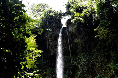 Arusha: avventura in quad nella foresta di Meru con guida