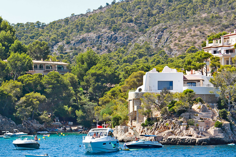 Mallorca: Dolfijn cruisePaguera: Verzamelen bij Playa Tora