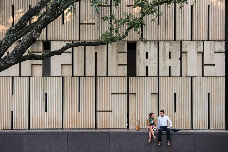 Houston : Le Musée des Beaux-Arts de Houston - Billet d&#039;accès général