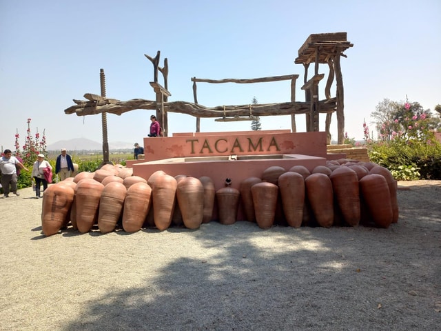 From Ica or Huacachina: Tour to Tacama Vineyard and Artisanal Winery.