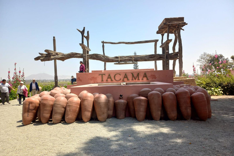 Von Ica oder Huacachina: Tour zum Tacama-Weinberg und zur handwerklichen Weinkellerei.