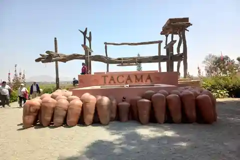 De Ica ou Huacachina: Visita a Vinha e Adega Artesanal de Tacama.
