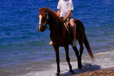 Side: Horseback Riding Adventure with Hotel Pickup