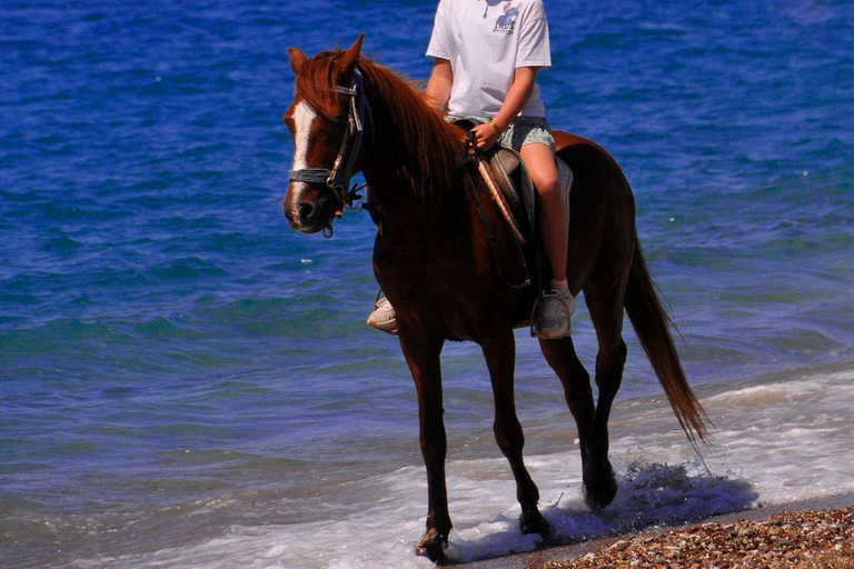 Side: Horseback Riding Adventure with Hotel Pickup