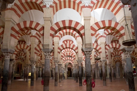 Depuis Malaga : Excursion privée d'une journée à Cordoue, Mosquée et Cathédrale