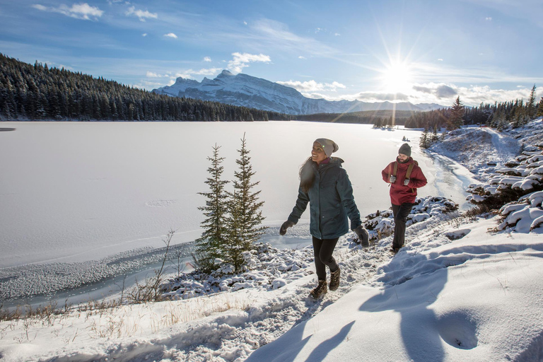 Lac Louise, lac Peyto, canyon de Johnston et promenade des GlaciersTravel Alberta Canmore Visitor Center prise en charge