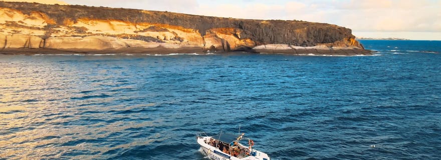 Charte privée Charte privée pour observer les baleines - 2 heures