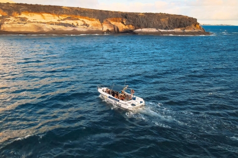 Private Charter Private Charter to see the whales - 2 Hours Private Charter - 2 Hours