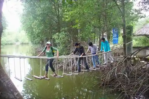 Tour de día completo por el bosque de manglares de Can Gio y la Isla de los Monos