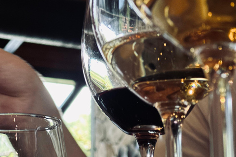 تبليسي: تذوق النبيذ الاحترافي ودروس الطبخ الجورجي من الشيف