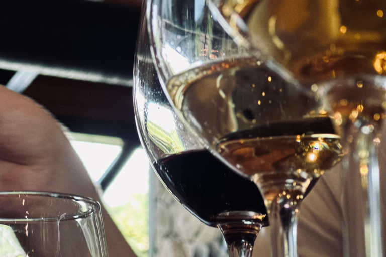 تبليسي: تذوق النبيذ الاحترافي ودروس الطبخ الجورجي من الشيف