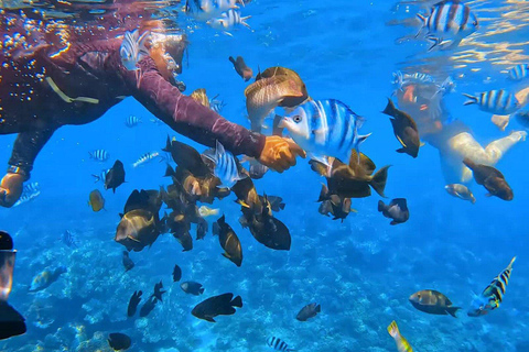 Bali : Plongée en apnée au Blue Lagoon et à Tanjung Jepun avec déjeuner