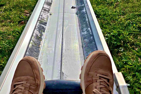 GurtenPark–Bern: 360° Viewpoint, Toboggan Run, and Cheese Picnic Gurten Park – Bern: Small Group Tour