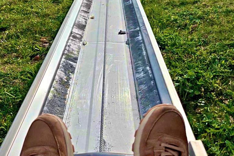 GurtenPark–Bern: 360° Viewpoint, Toboggan Run, and Cheese Picnic Gurten Park – Bern: Small Group Tour