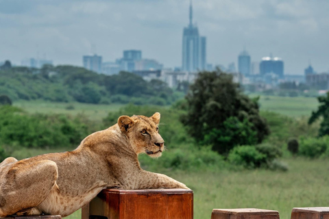 Nairobi: National Park Safari with Hotel Pickup in a Van