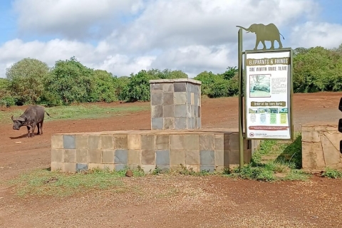 Visite en petit groupe ; parc de Nairobi avec sanctuaire d'éléphants.