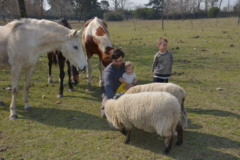 Buenos Aires: Gaucho Day Experience with Asado (BBQ)