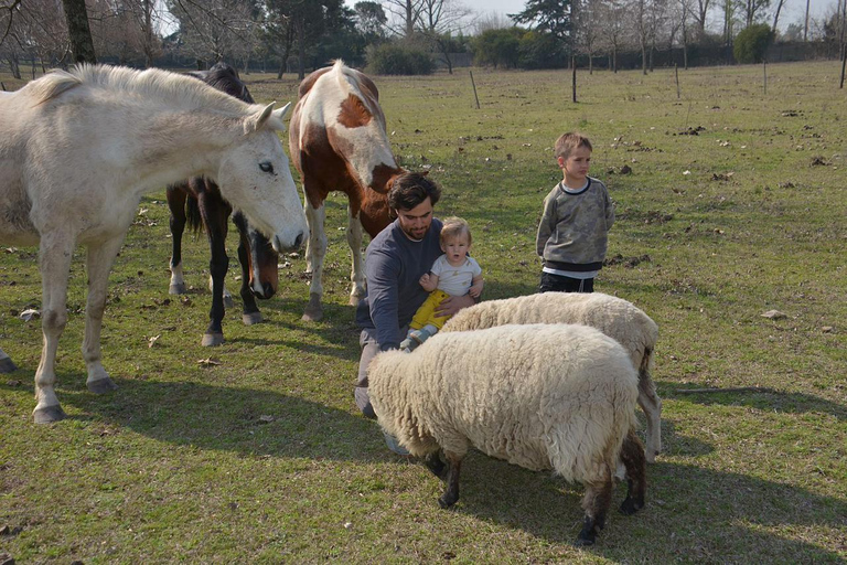 Buenos Aires: Gaucho Day Experience with Asado (BBQ)