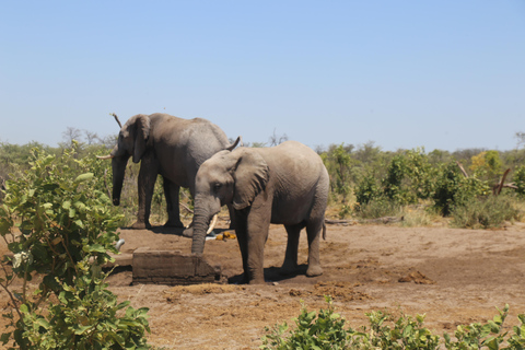 Victoria Falls in a Day Safari, Waterfalls & Sunset Cruise