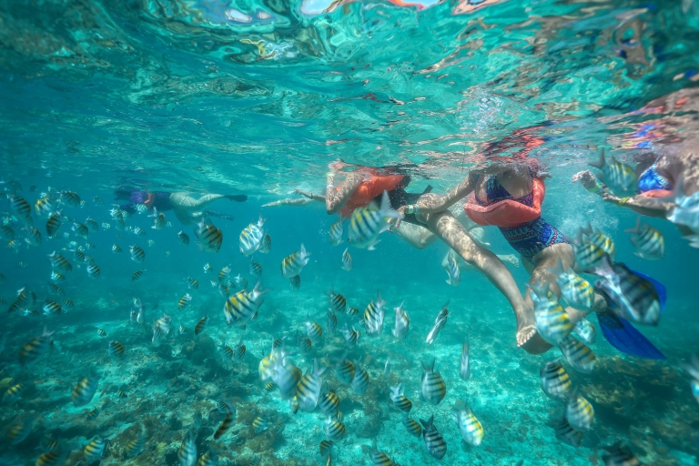 Cancun / Riviera Maya: excursion de plongée avec tuba tout compris à Isla MujeresTour de Playa del Carmen, Puerto Morelos et Playa Paraiso