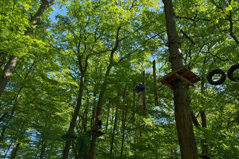 Kelkheim: Outdoor climbing experience in the forest ropes course with circuit and zip lines