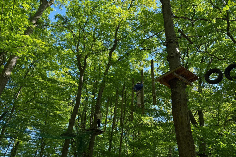 Kelkheim: Outdoor climbing experience in the forest ropes course with circuit and zip lines