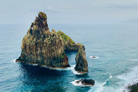 Madeira: västra sidan Achadas Cruz, Moniz, Seixal och FanalUpphämtning och rundtur i Caniço på tyska