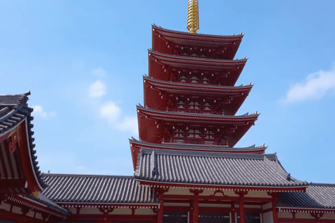Tokyo Private Tour with English speaking driver Minivan (1-6)