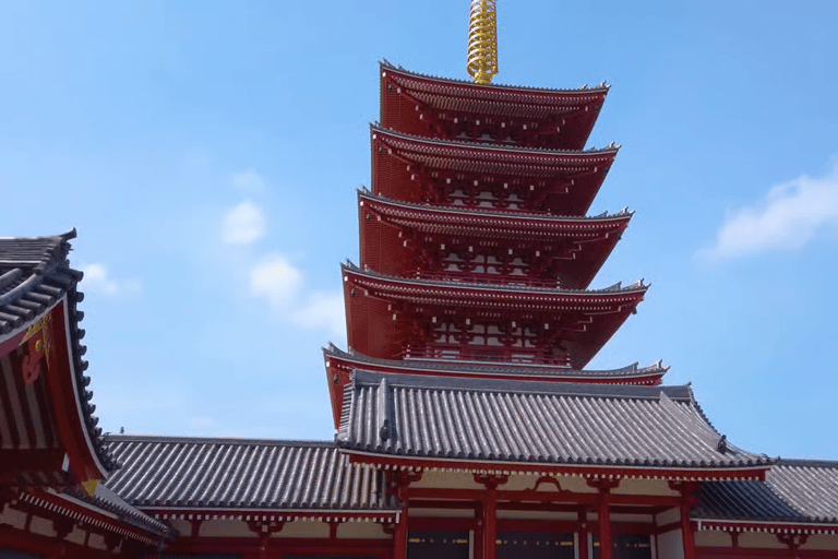 Tokyo Private Tour with English speaking driver Minivan (1-6)