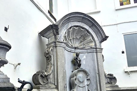 Depuis Amsterdam : visite d&#039;une journée en petit groupe à Bruxelles et à l&#039;Atomium