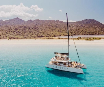 Excursion d'une demi-journée en catamaran