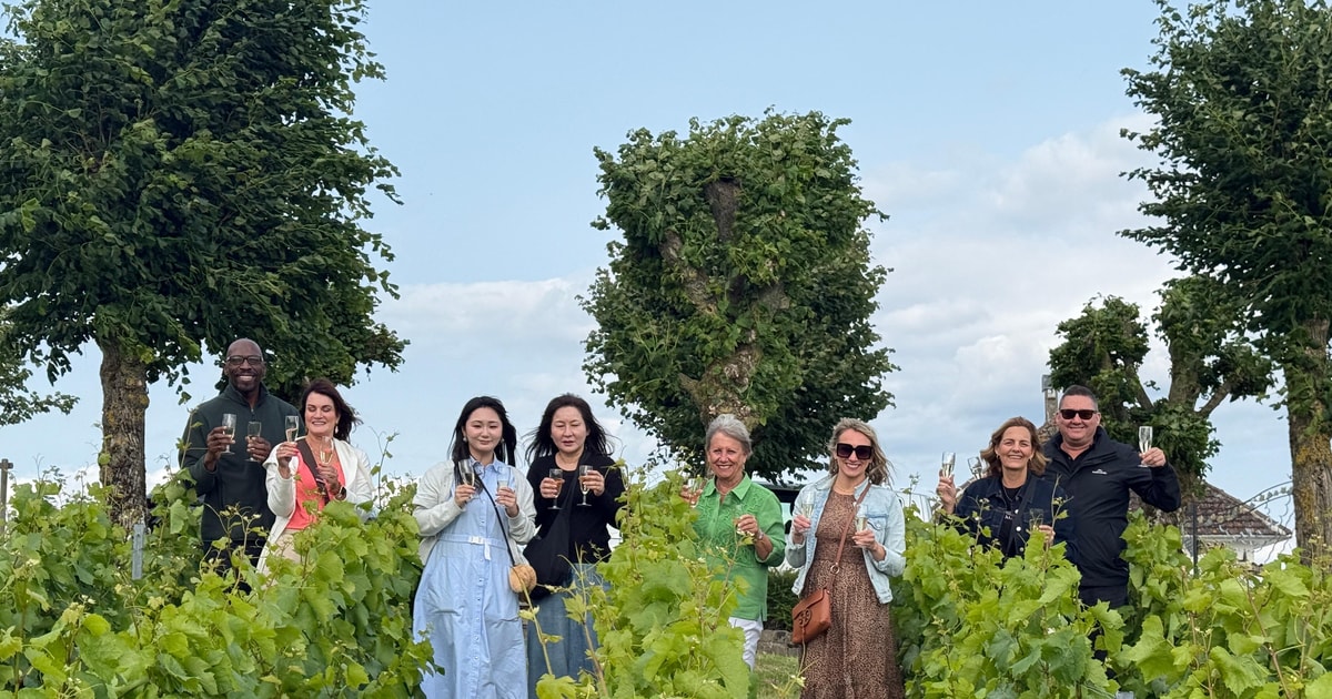 Champagne day trip with tastings and pickup · paris