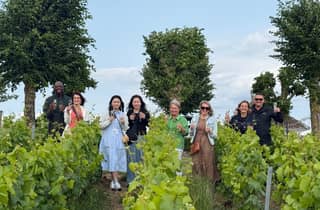Paris: Tagestour in die Champagne mit Verkostungen, Kathedrale und Abholung