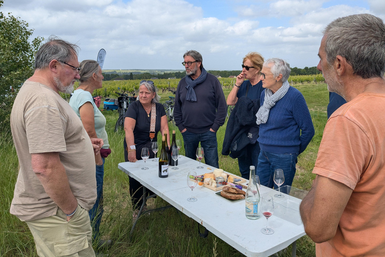 Amboise: Bike ride through the vineyards (wine guide, natural wine) Amboise: Bike getaway in the vineyards (wine guide, natural wine)