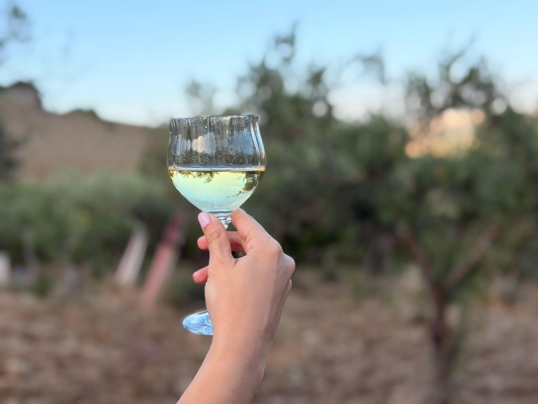 Castellammare del Golfo: Typisch sizilianisches Abendessen im Home Restaurant