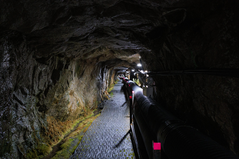 Da Seul: DMZ, il secondo tunnel e il tour del fiume Hantan dell&#039;UNESCOStazione Myeongdong Uscita 10 alle ore 07:00