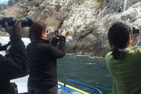 Hobart Heritage Rundgang &amp; Iron Pot Lighthouse Cruise