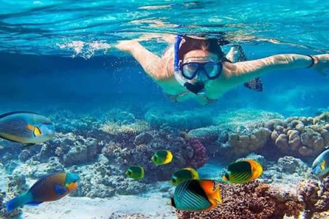 Zanzibar:Mnemba Dolphin Spotting+Aquarium+ Kendwa Beach Escp