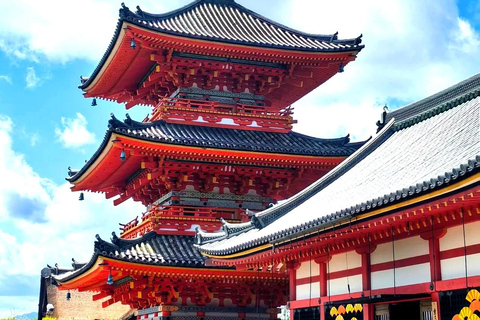 Osaka & Kobe: Private Shore Excursion with Ship Return