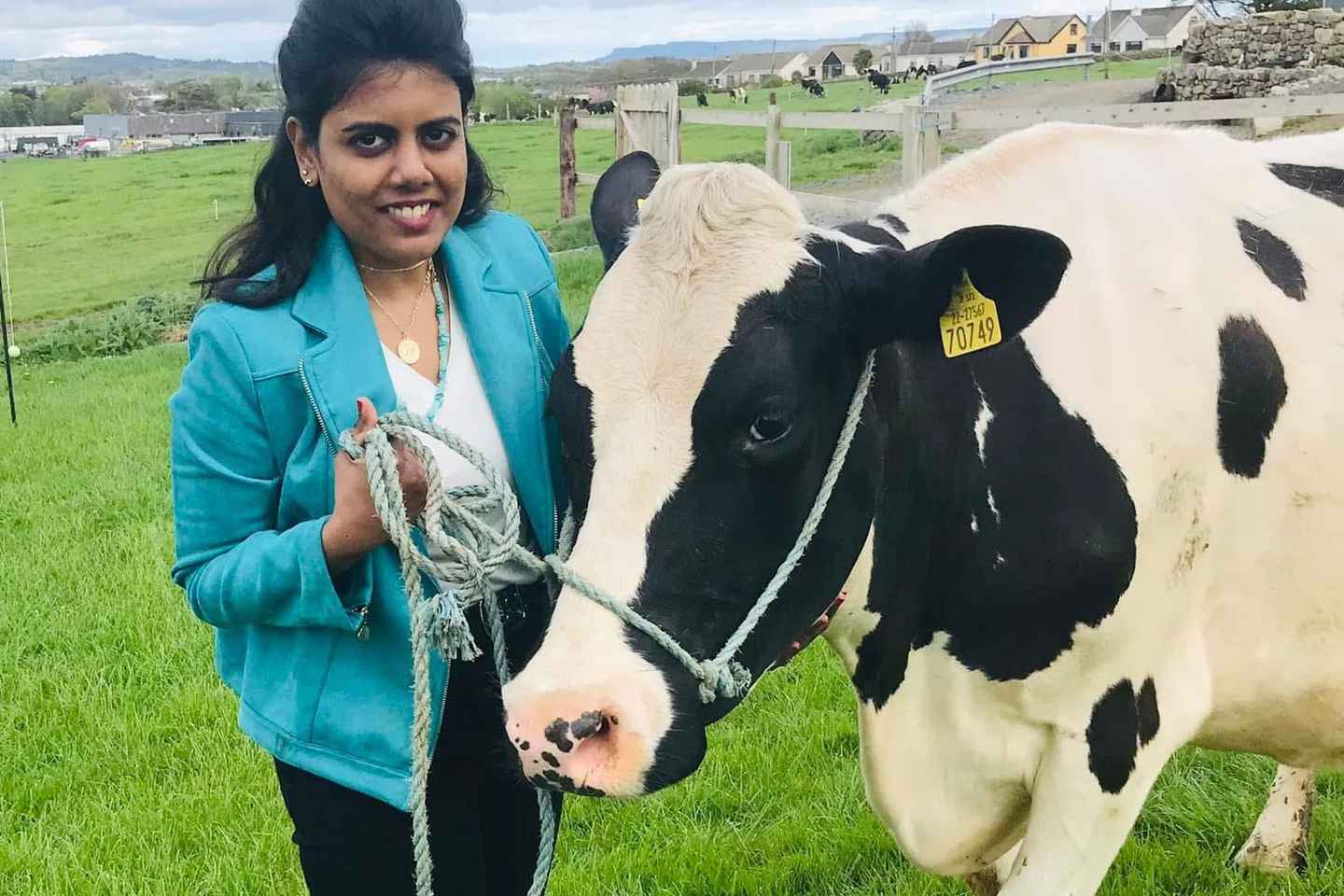 Campview Farm, Ballyshannon: Cuddle a Cow Experience