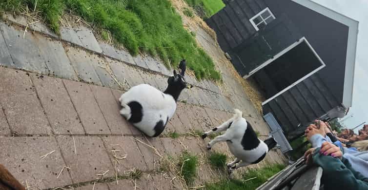 Amsterdam to Giethoorn & Zaanse Schans Small Group w/ Pickup photo 14